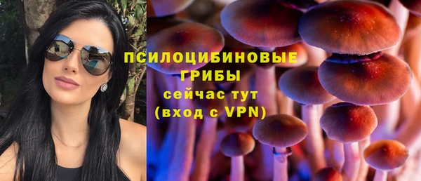 ПСИЛОЦИБИНОВЫЕ ГРИБЫ Алексеевка
