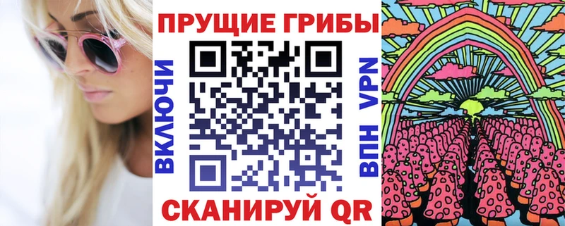 Псилоцибиновые грибы Cubensis  где продают наркотики  Щёлкино 